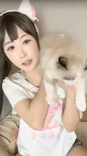 京鱼儿