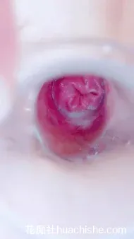 喷的水超多 熟女疯玩骚逼小穴肛门预览图03
