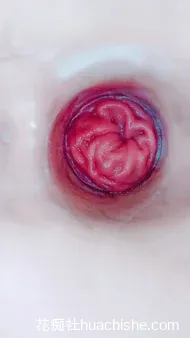 喷的水超多 熟女疯玩骚逼小穴肛门预览图10